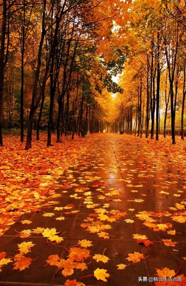 2022年有什么不好的预兆,2022年年景预测好与坏