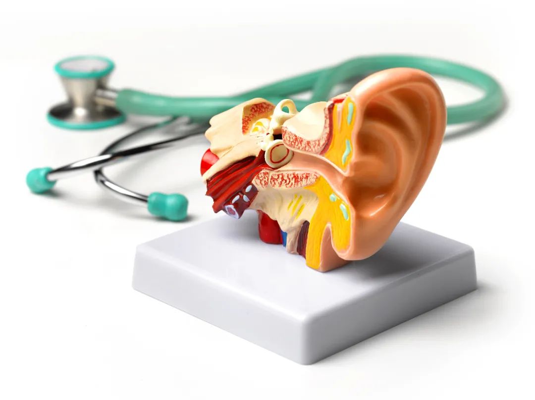 干细胞在3d打印中的应用,干细胞3d打印教程