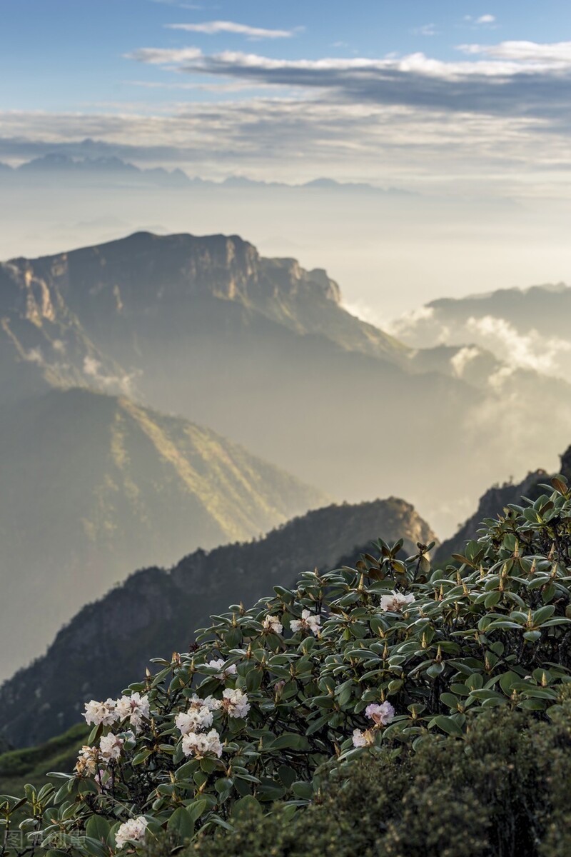 亚洲第一个美食之都,亚洲十大自驾游攻略最新