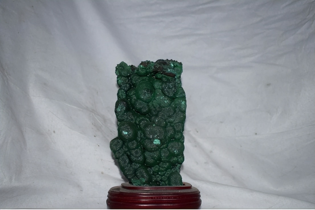 全球学子嘉游赣名单,全球学子嘉游赣条件