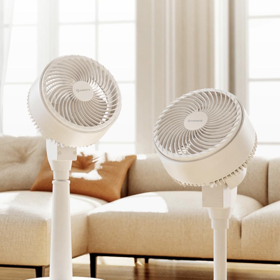 这女人一露脸,我就想为她花钱…