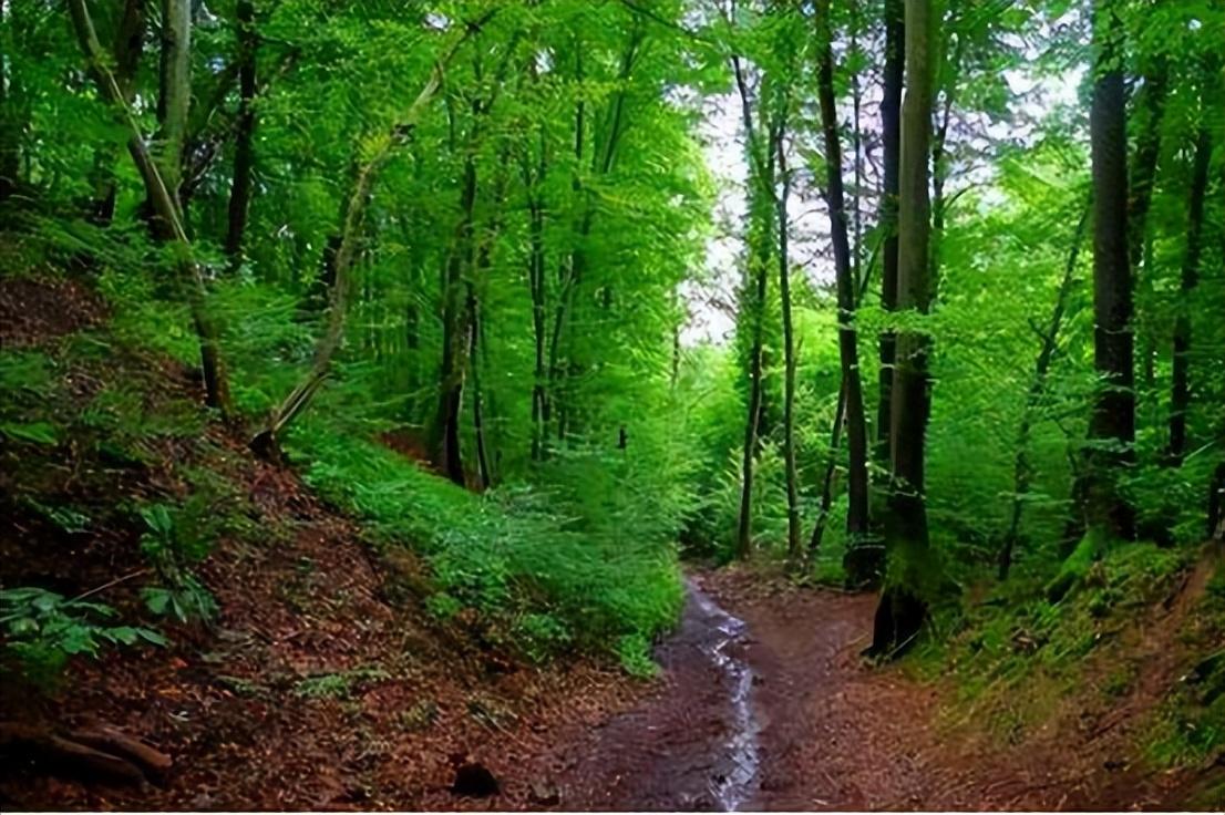 08年，29岁华裔女作家遭15岁男孩侵犯，对方却反咬称：她先*引勾**的