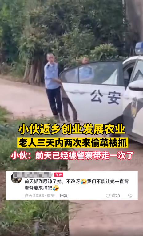 返乡创业老人偷菜后续,农村小伙回乡创业租用田地种植