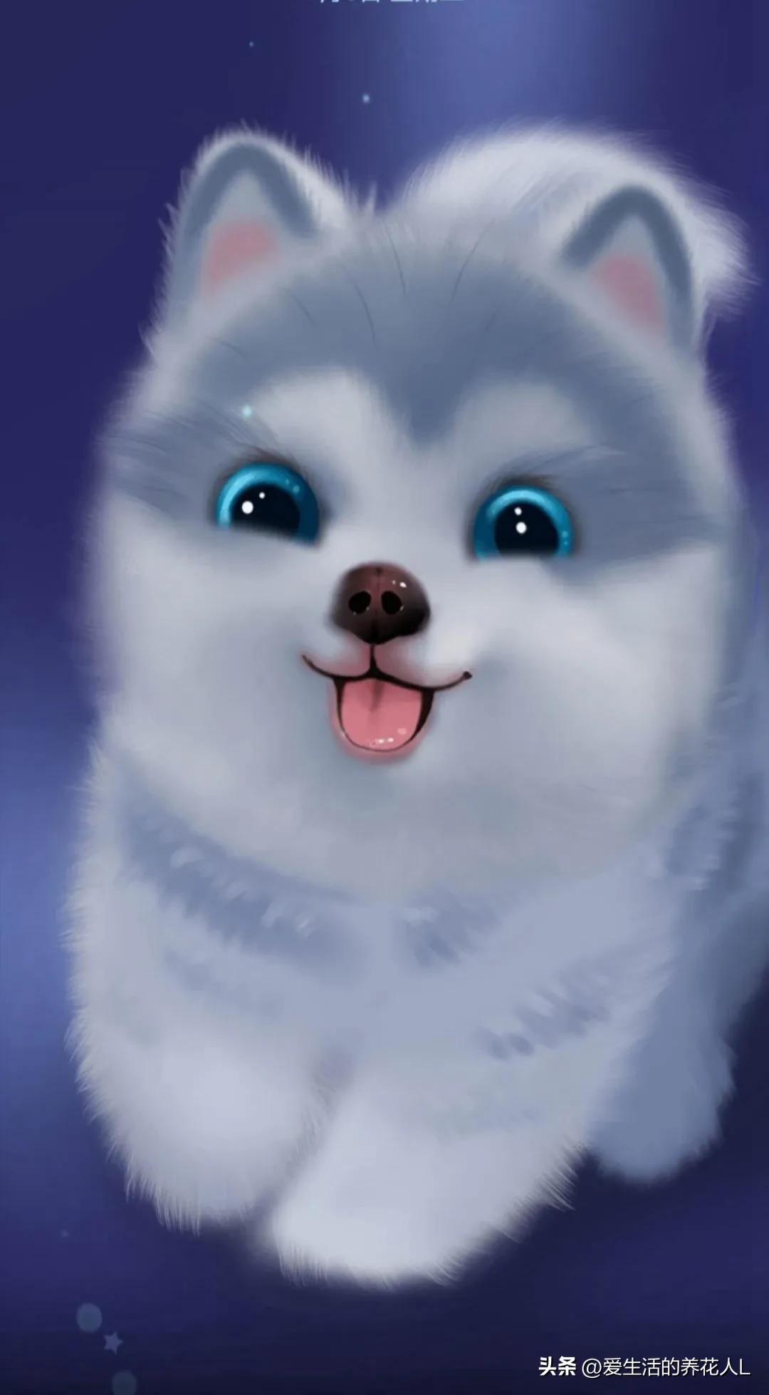 手绘呆萌可爱卡通小动物图片,可爱萌萌的小动物逗趣动图