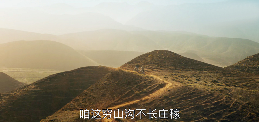 山河锦绣演员演技好,山河锦绣演员表现