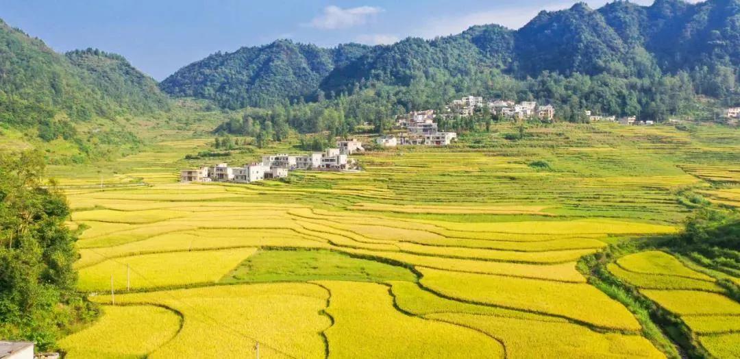 久违的家常饭,久违的包谷饭