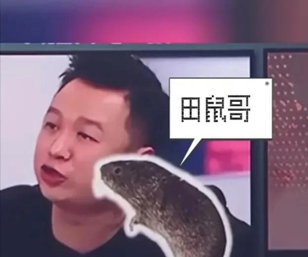 台湾的“五子登科”:茶叶蛋哥、榨菜哥、田鼠哥、土房哥、靠背哥