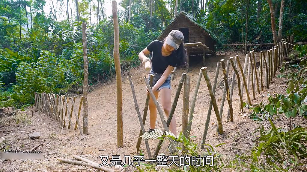 野外生存原始森林21天,荒野庇护所搭建狩猎小屋