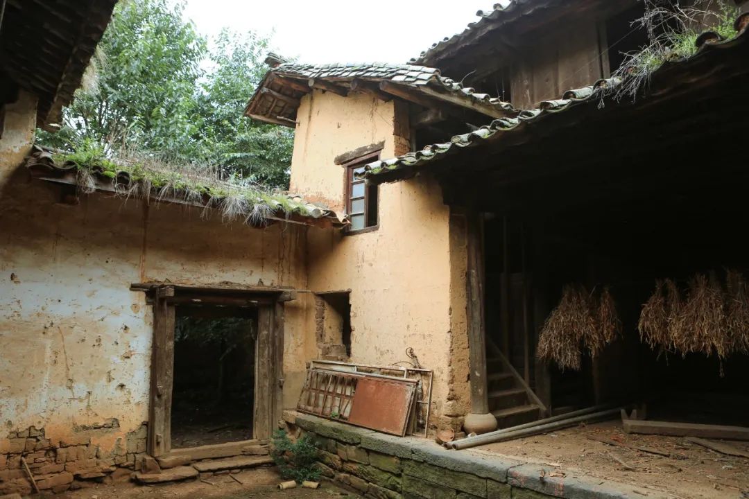 裸辞女教师云南,辞职女教师隐居山村多年