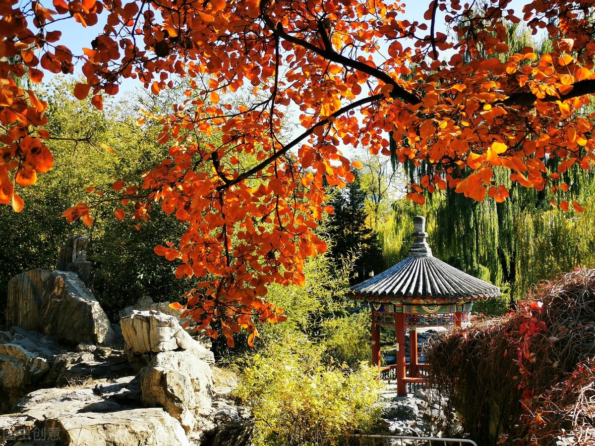 她做保姆这些年之豪门生活217,她做保姆这些年豪门生活40集