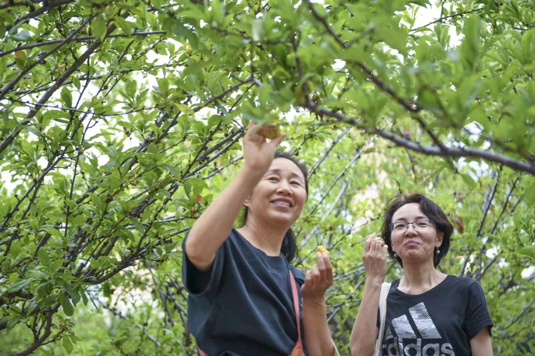 全国生态环境日主题,全国生态日绿水青山就是金山银山