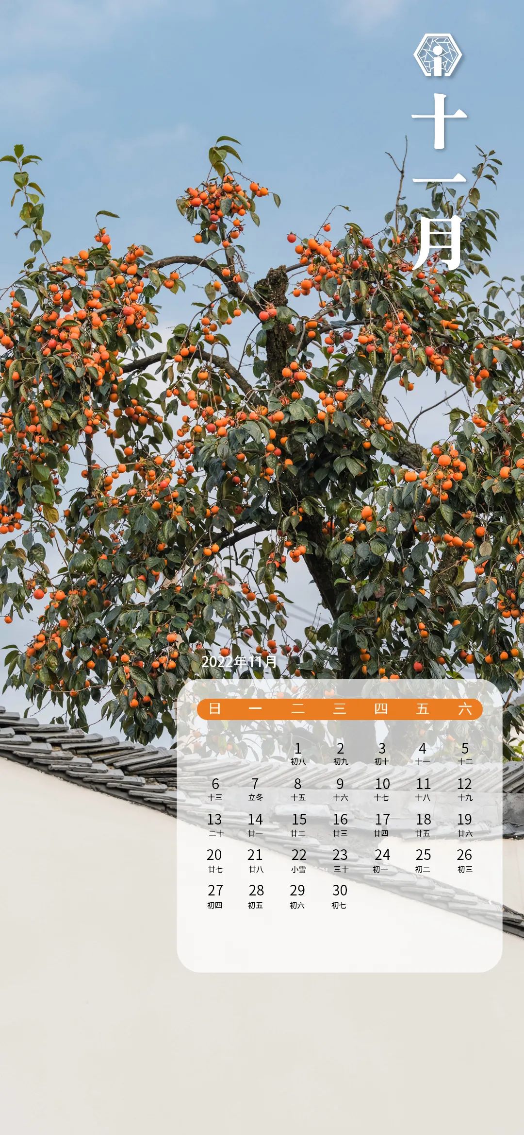 2023新年绝美壁纸,2022新年唯美图片壁纸