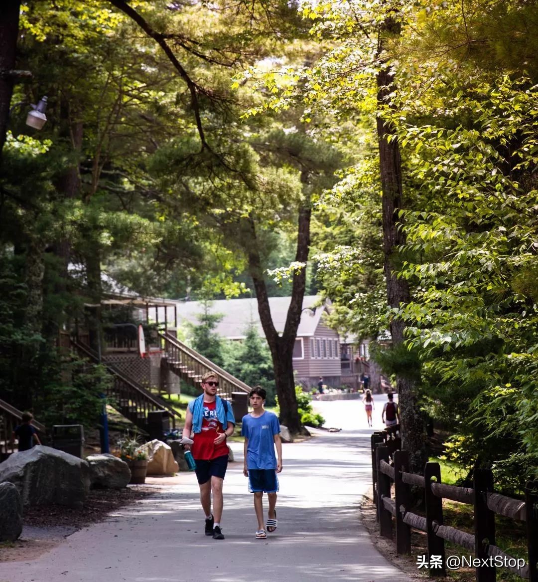 青小姐上学日记（19）——青春，友谊和梦想的加油站（续）