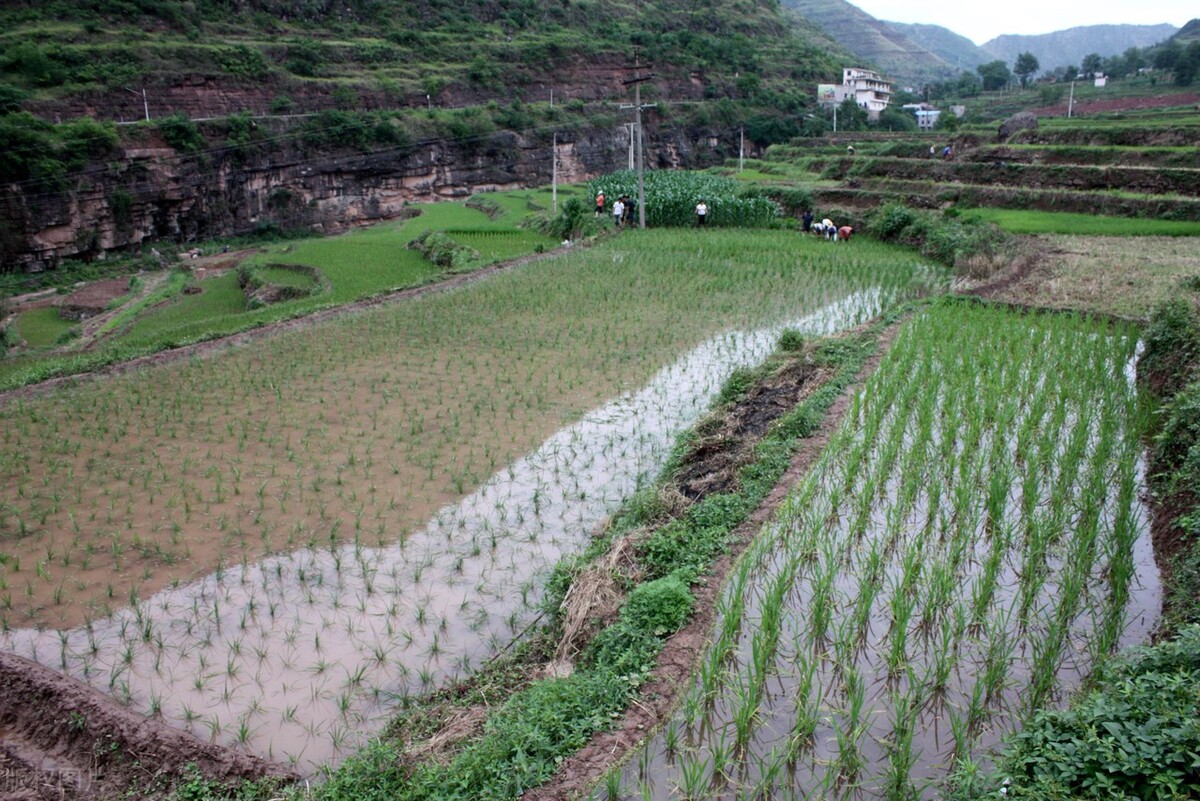 全家迁入设区的市承包地如何处理,迁户口后耕地怎么处理