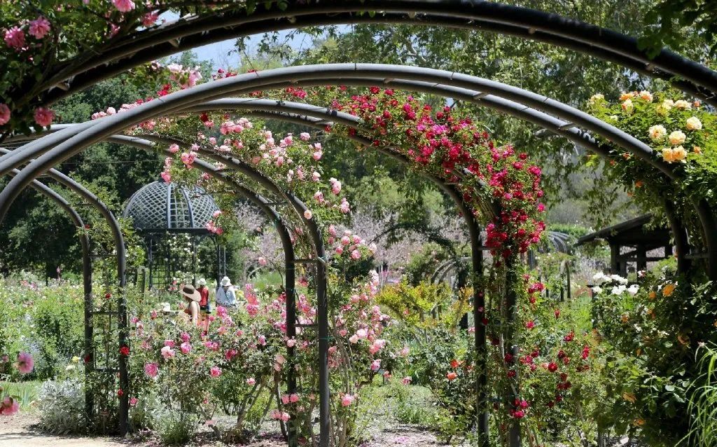 最美的十座园林,中国十大最美园林之留园