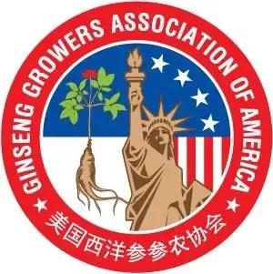 进口正品西洋参500克多少钱,进口西洋参与国产参的差别