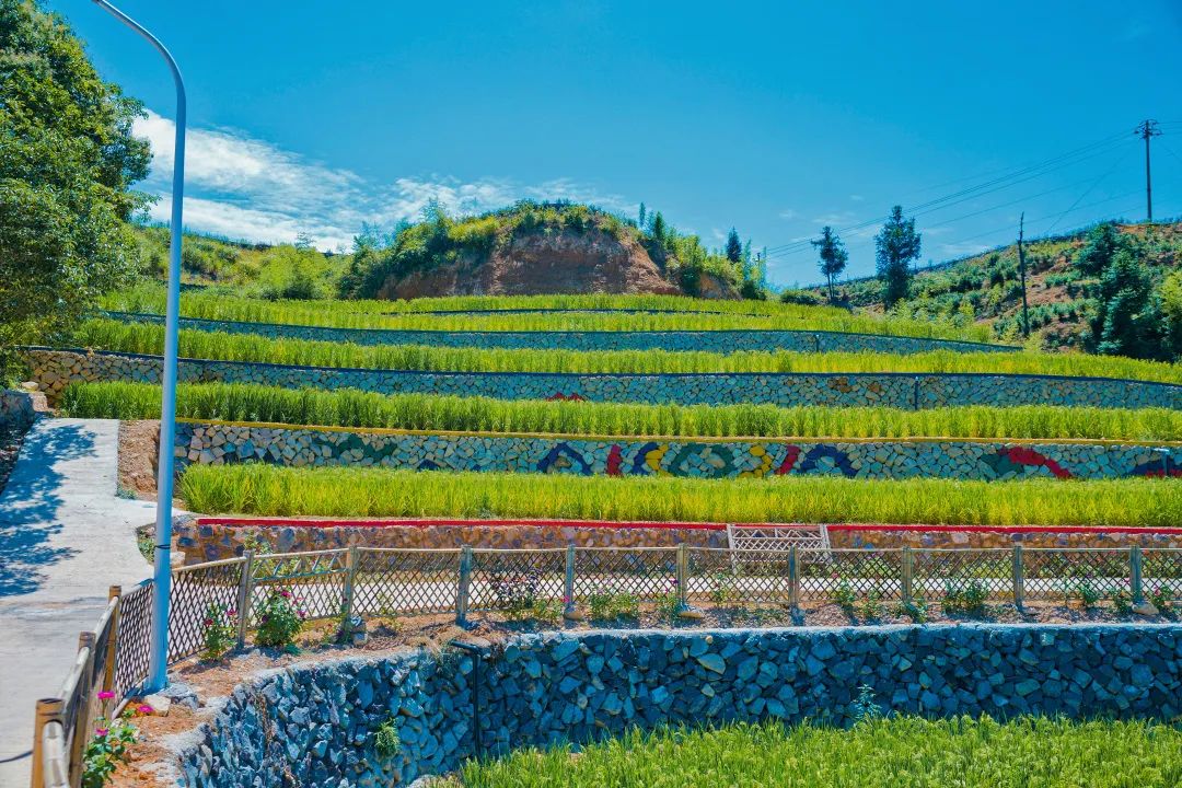 10元游温州景区,10元游温州