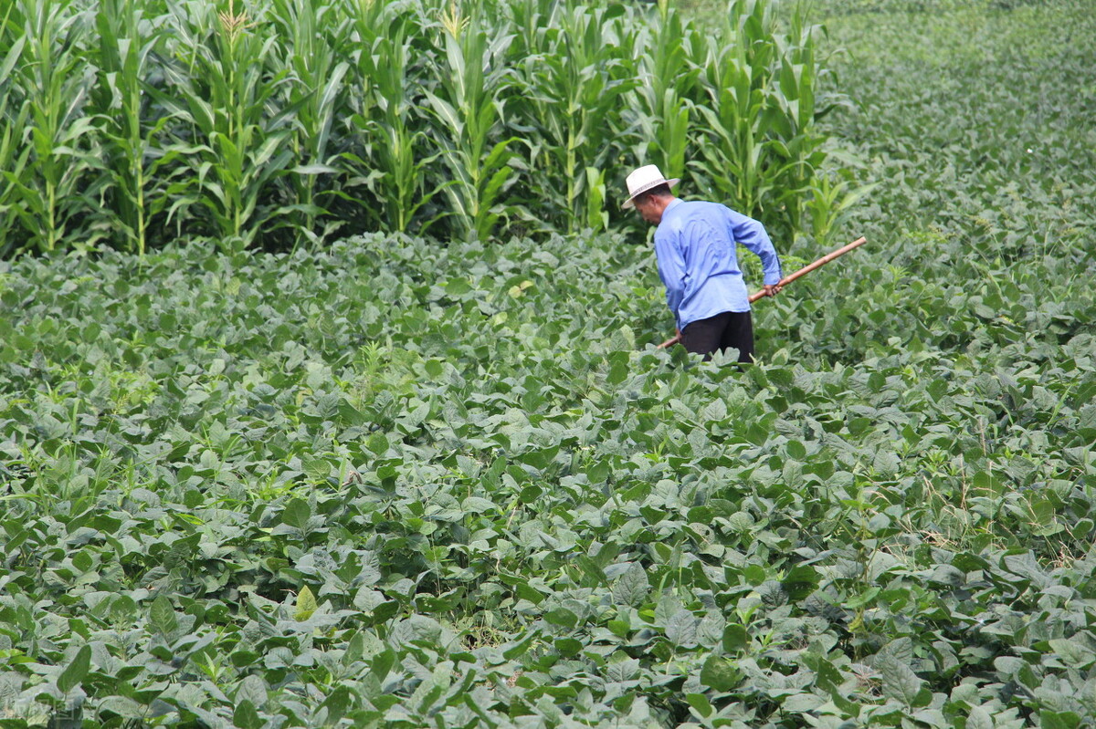 2021岁末感言,2021岁末年终的唯美句子