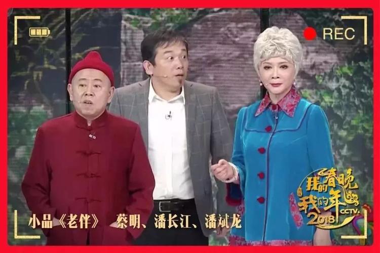 蔡明的百变女王,蔡明百变