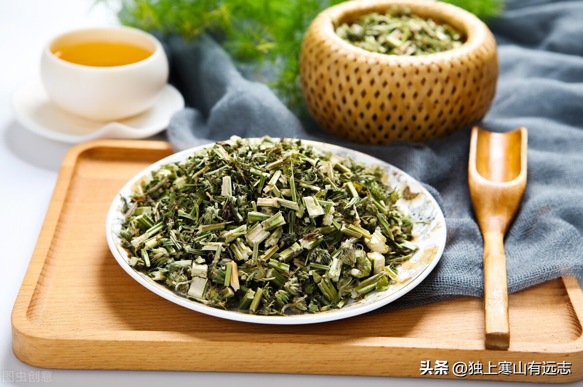 益母草不仅是治痛经闭经的妇科要药，更能利尿消肿、清热解毒