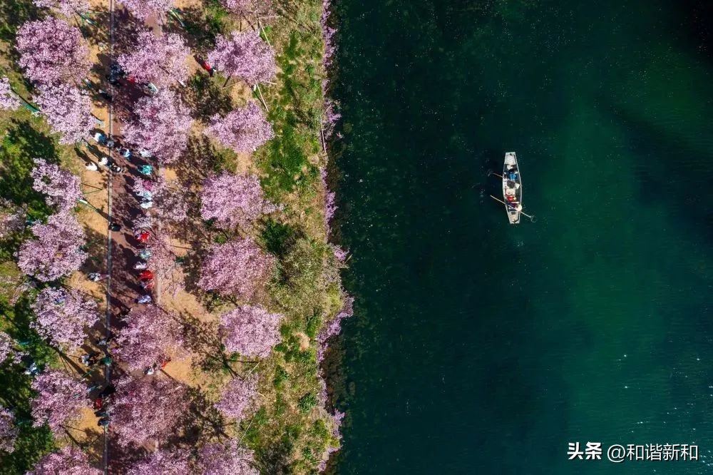 “千万工程”塑造美丽乡村,千万工程造就万千美丽乡村