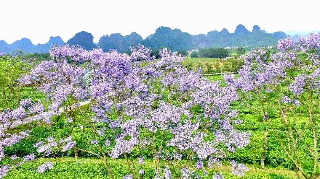 清远英德老虎谷溶洞漂流,广州出发清远三天两夜旅游攻略