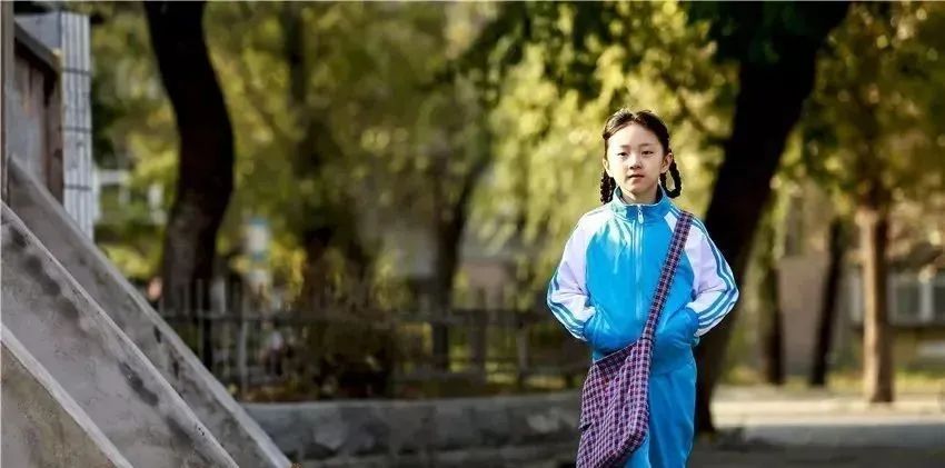 一文洞见中国,曾经传销的真实故事