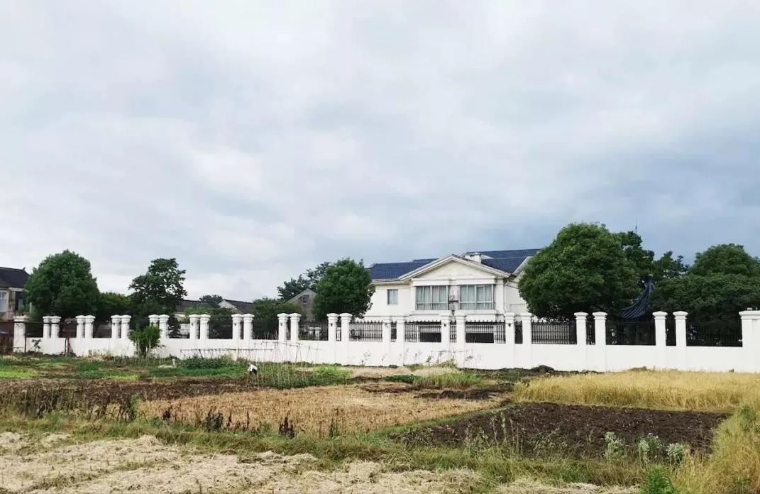 蒋泉龙身价有多少亿,中国稀土控股有限公司蒋泉龙