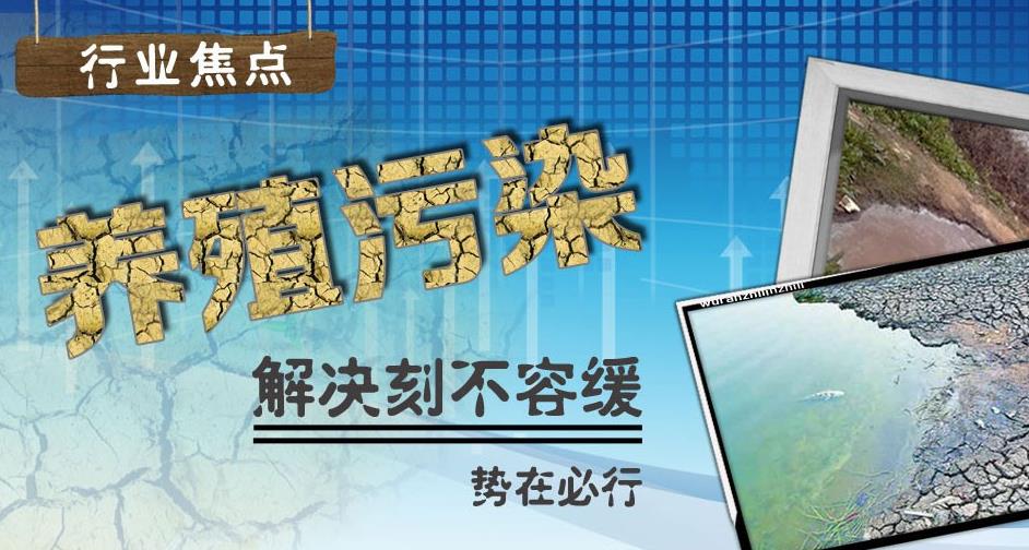 未来5年猪产业前景,未来3年生猪发展趋势