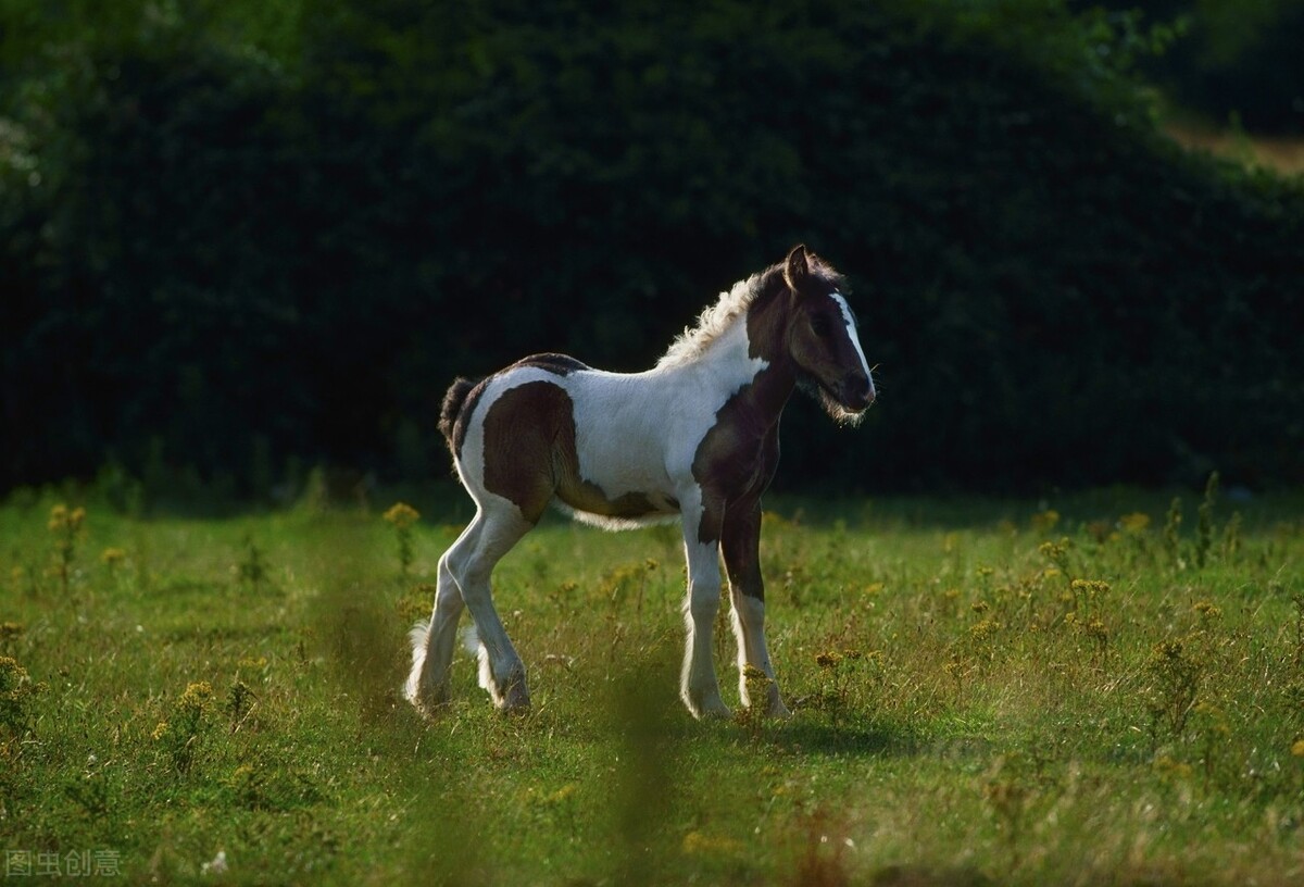 天喻信息分析,天喻信息最新分析