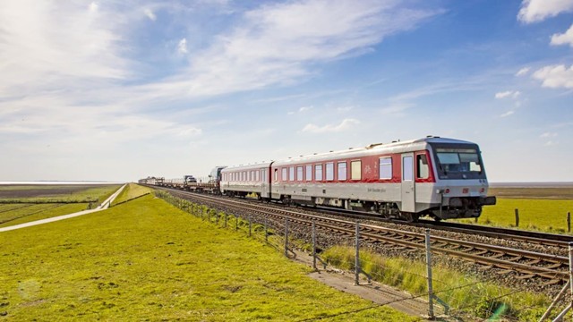 云南三姐弟死亡之谜,云南三姐弟死亡真相