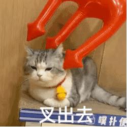 凉了7年的快播，还有无数人惦记着