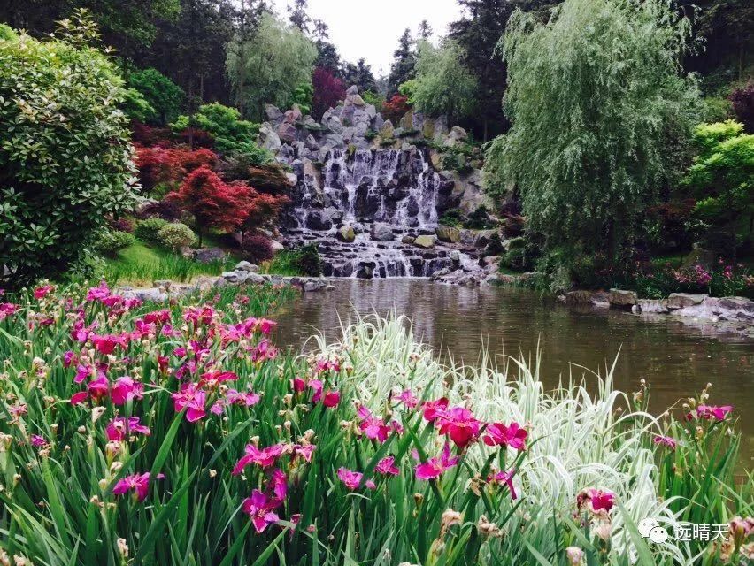 最美江宁四月天,我们只谈春暖花开,诗词歌赋,不聊红尘俗世