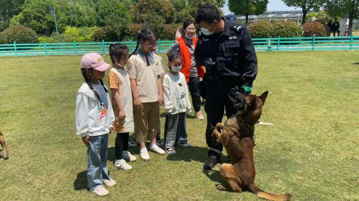 张家港农场网红打卡,周边农场网红打卡点创意