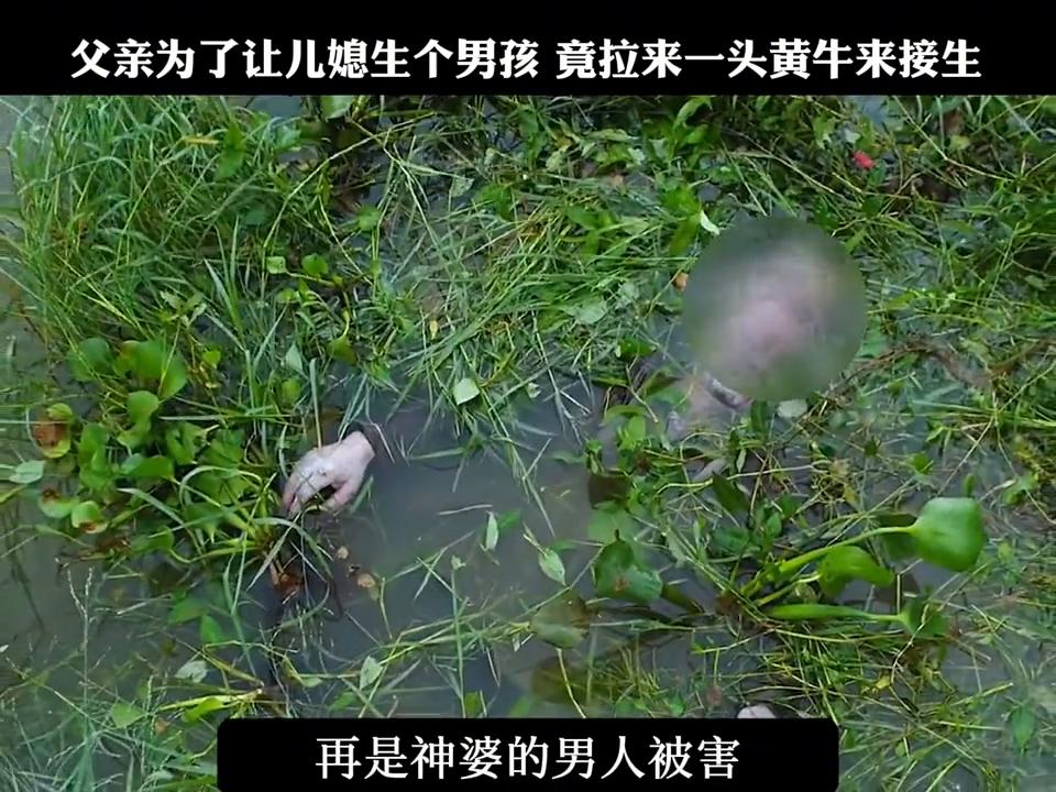 电影解说视频制作教程,电影解说搞笑