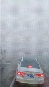 神回复：扔第一颗的时候，日本就是这么想的！神评把我笑死了