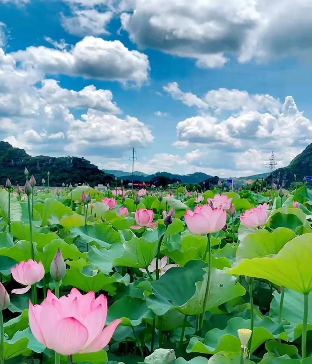 云南避暑旅游好去处推荐,云南避暑有哪些景点好玩