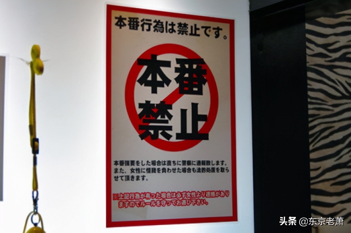 粉红沙龙适合什么地区,粉红沙龙是什么