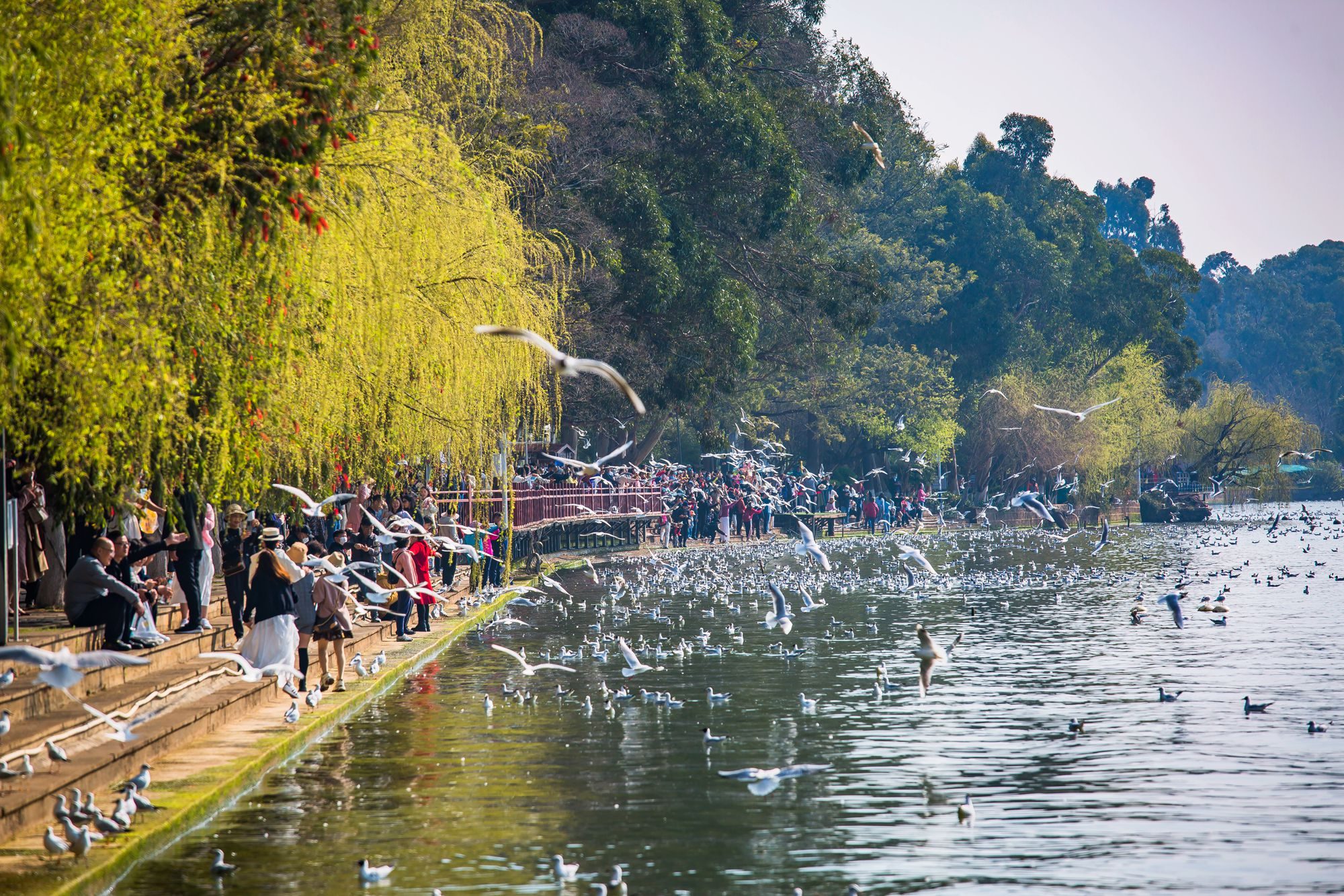 昆明滇池海埂公园有什么好玩的,昆明滇池海埂公园有没有沙滩