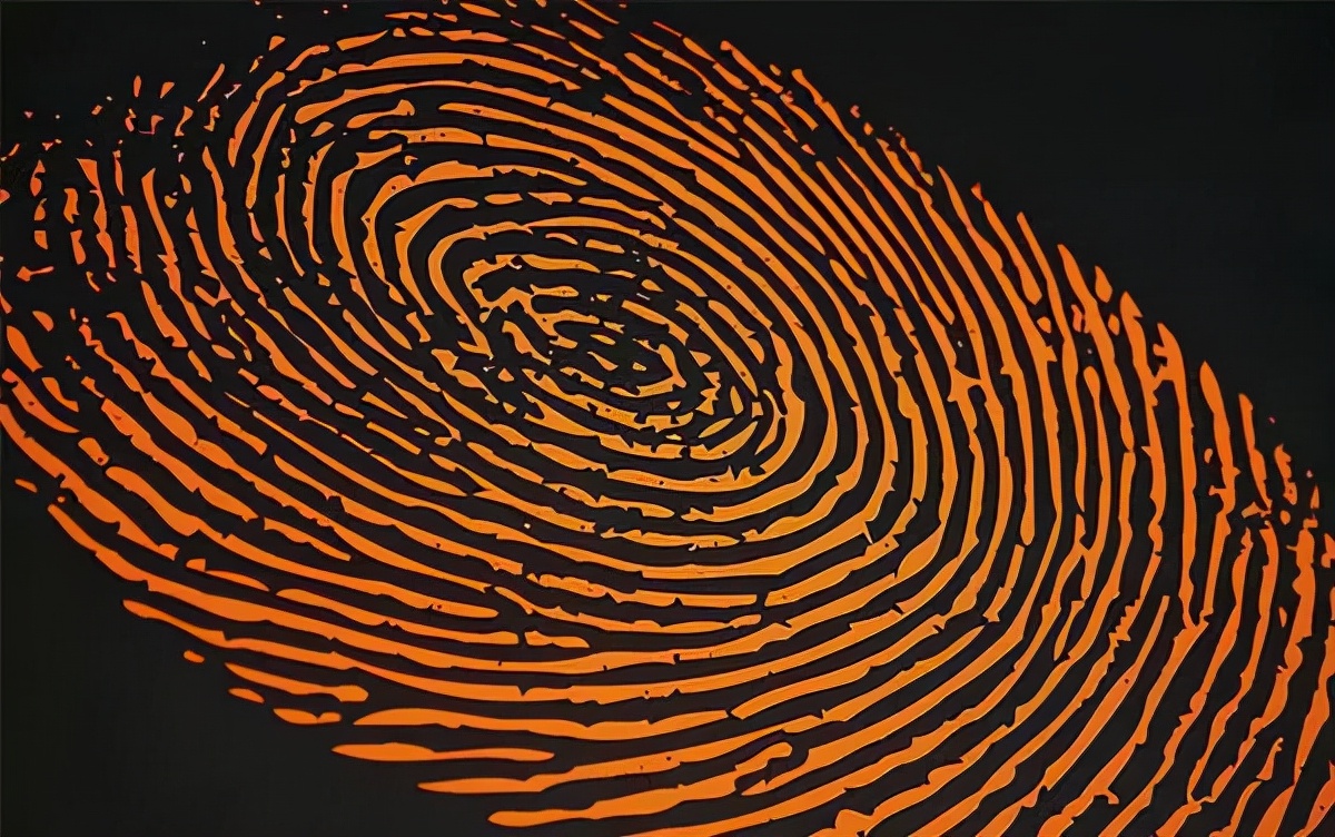 一罗穷二罗富可信吗,一螺穷二螺富的说法对吗