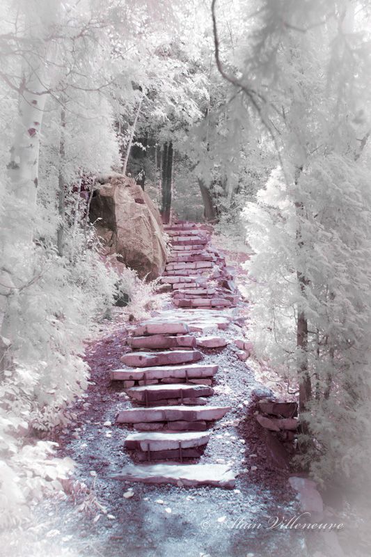 又到红叶观赏时刻,赏红叶十大绝佳去处