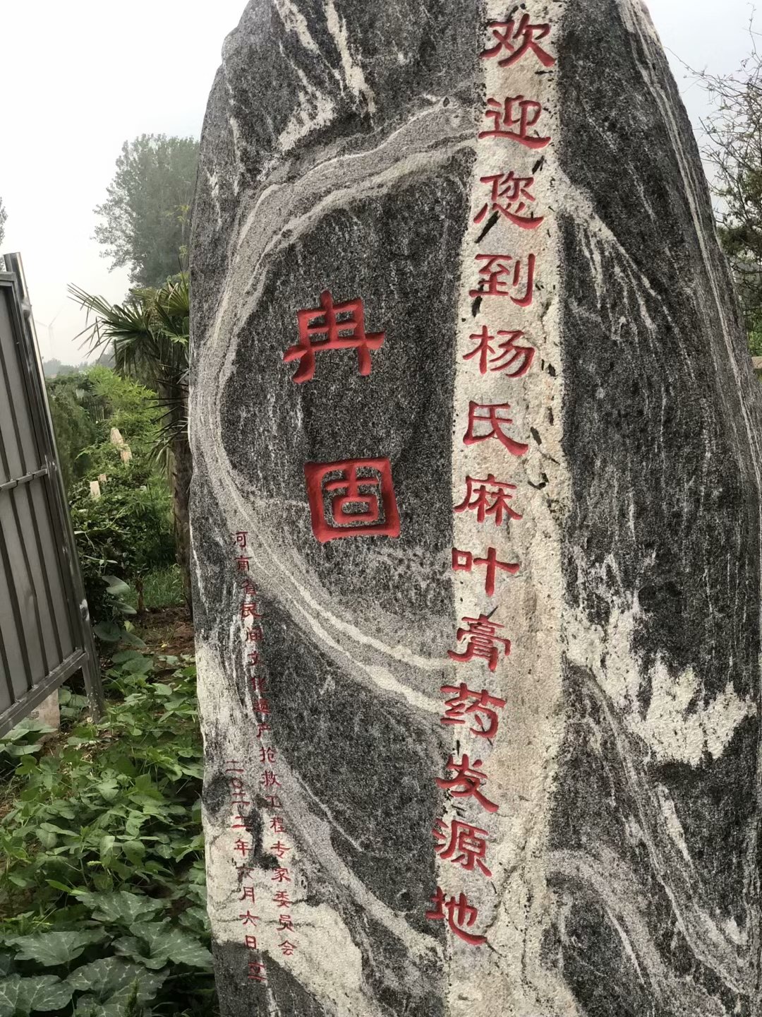 颈椎腰腿病症的守护者