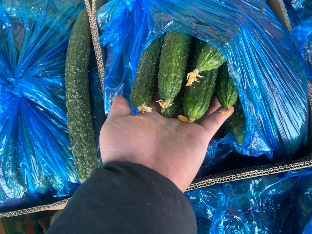 00后小伙辞职创业卖农产品,辞职回老家创业卖土特产