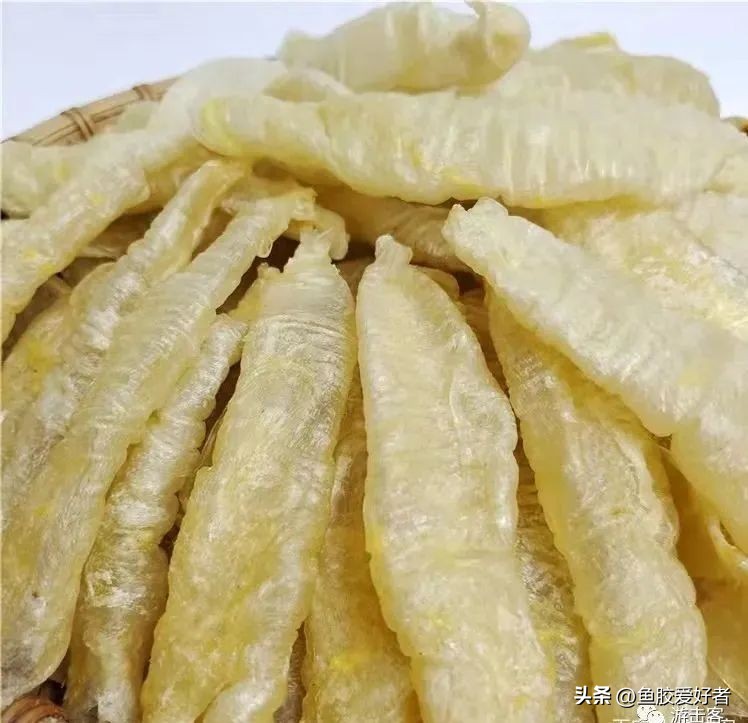 贵的鱼胶和便宜的鱼胶效果区别,什么鱼胶最便宜又好用