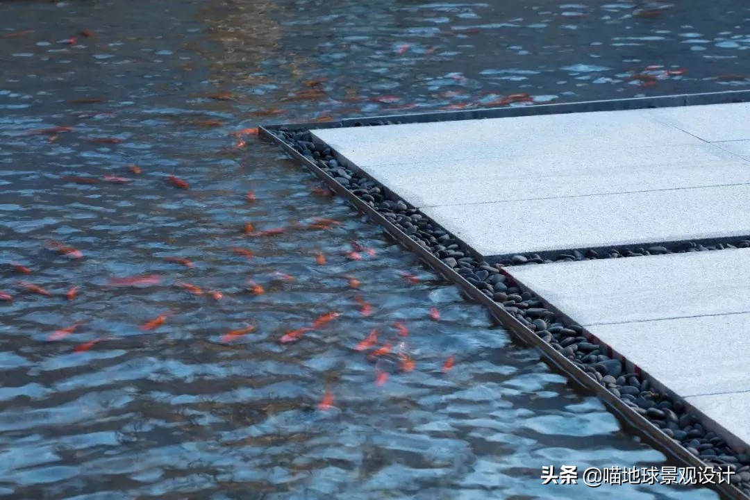 庭院景观设计细节处理视频,庭院设计中的细节处理