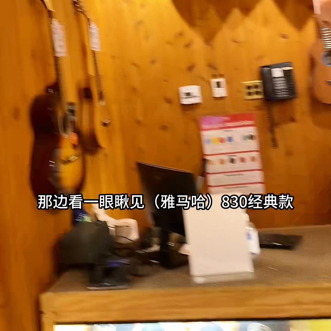 美国琴行吉他马丁价格,美国哪里买马丁吉他