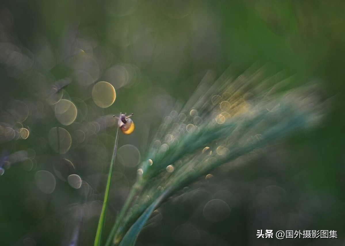 最美的景色秋天照片高清,夏天和秋天的绝美照片