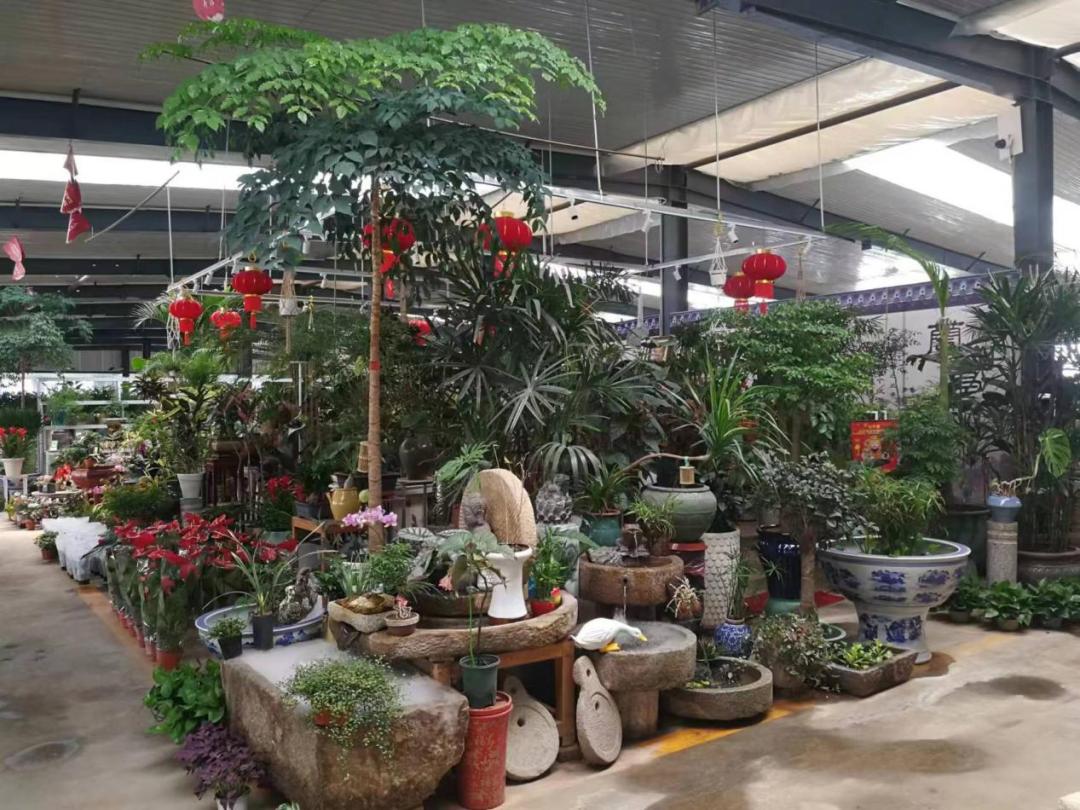 保姆级京圈花市攻略来袭，能解答你关于买花99%的问题