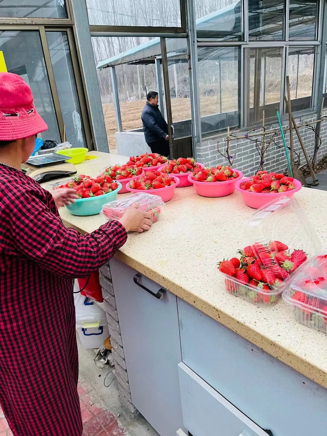莱芜附近好玩的农家乐园,莱芜农家乐和休闲农庄一日游