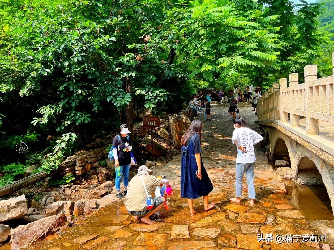 亲泉戏水避高温，来梨木台就对了